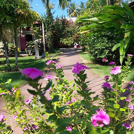 Hotel Casa Robinson Las Terrenas Eksteriør bilde