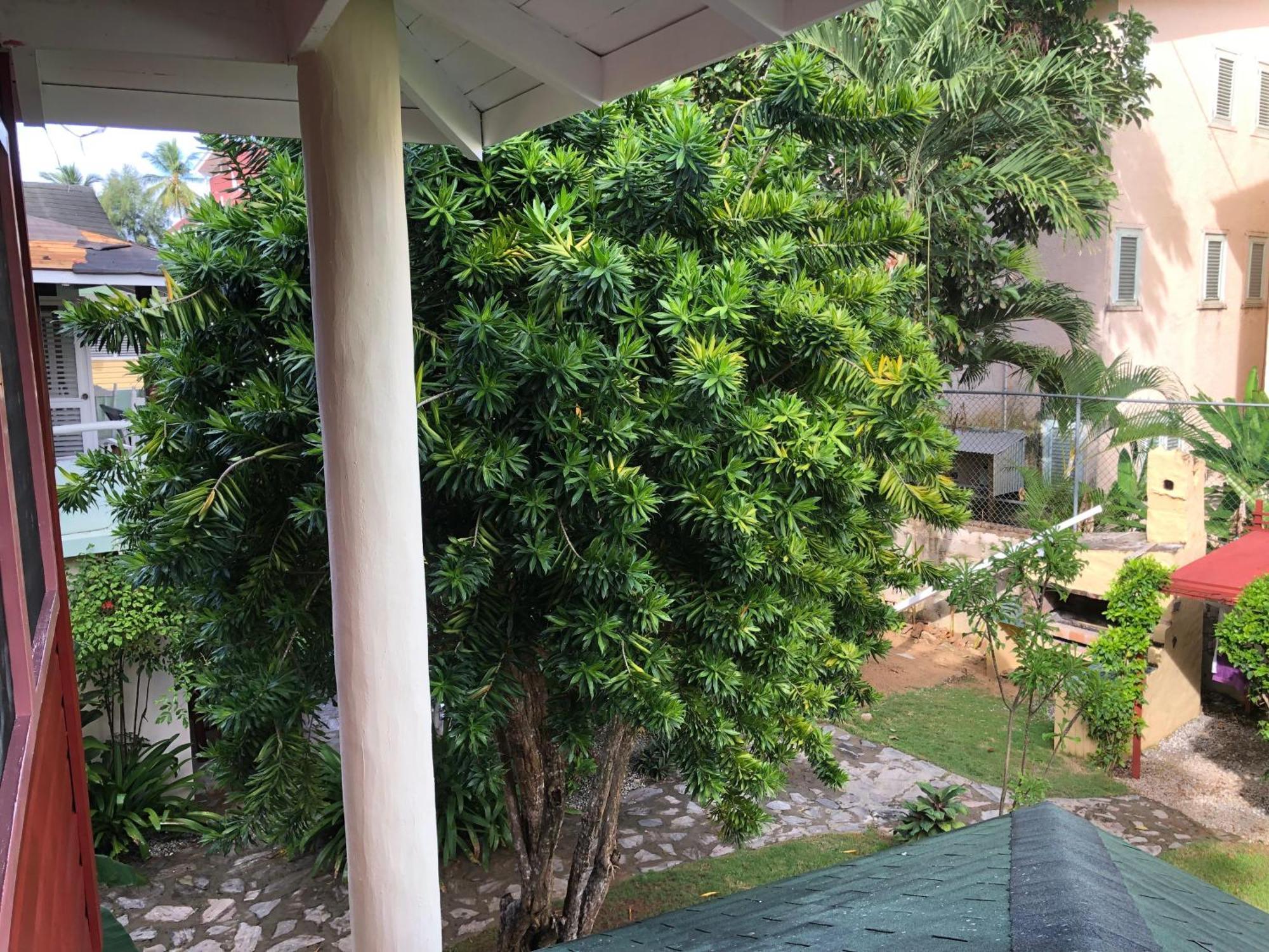 Hotel Casa Robinson Las Terrenas Eksteriør bilde