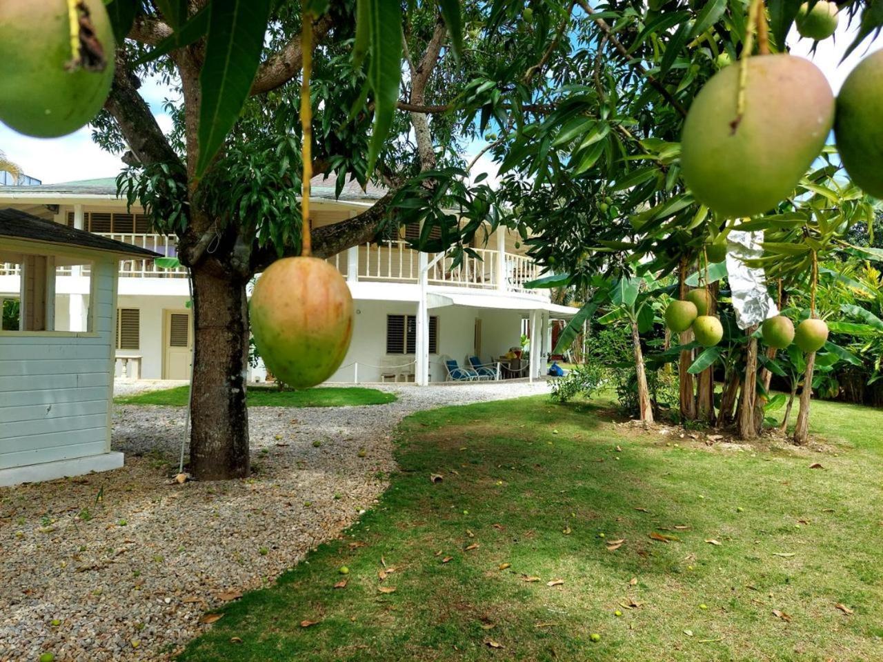 Hotel Casa Robinson Las Terrenas Eksteriør bilde