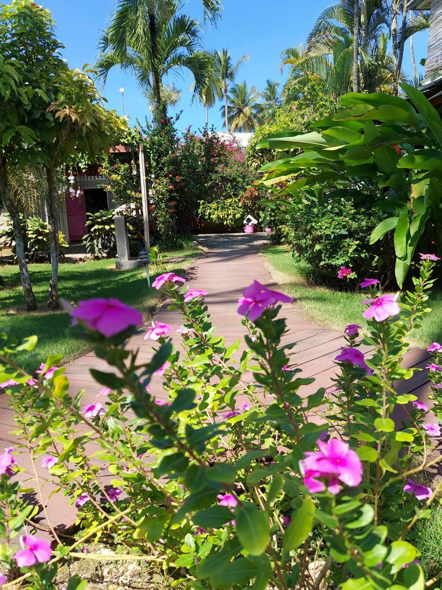 Hotel Casa Robinson Las Terrenas Eksteriør bilde