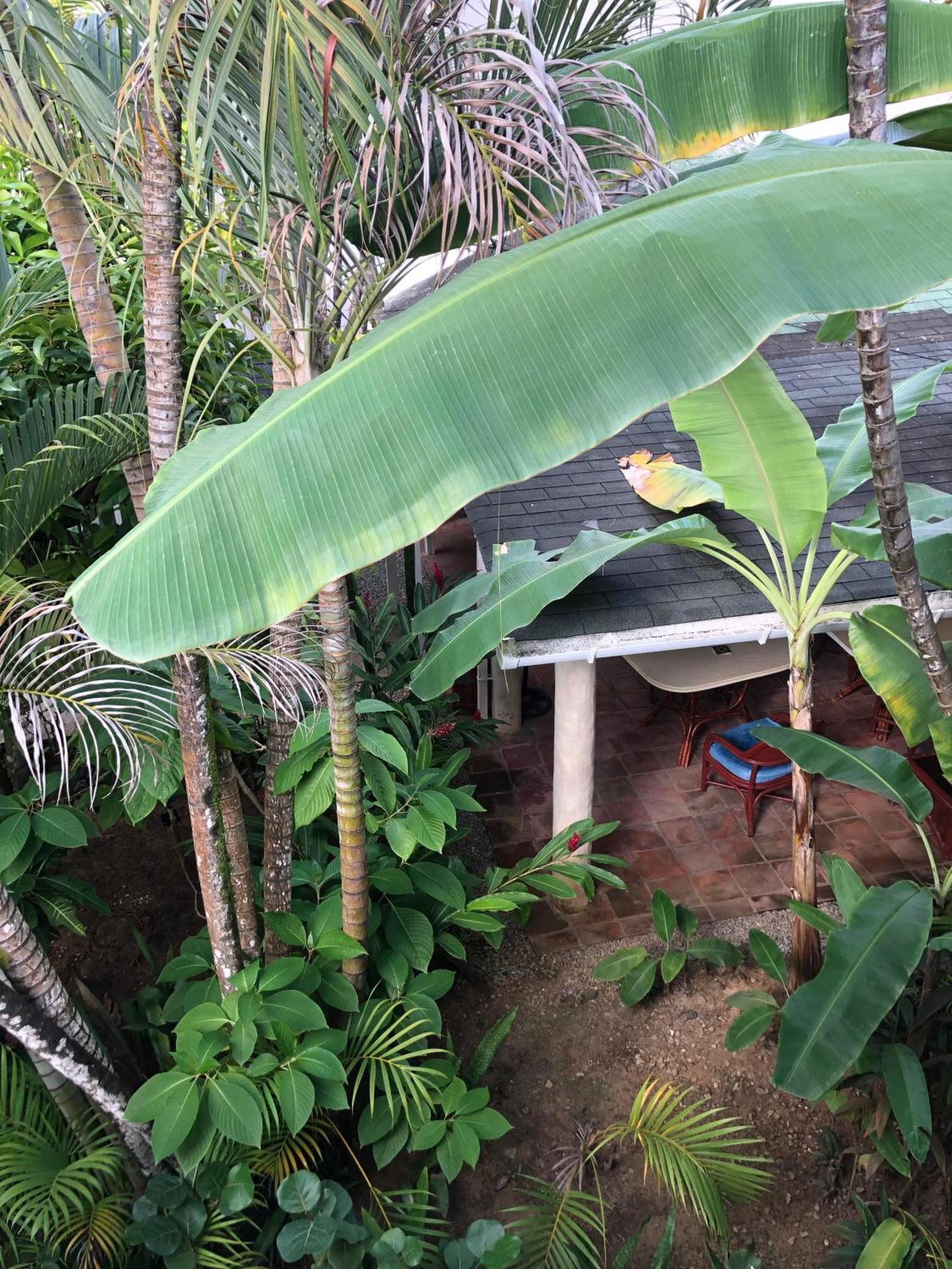 Hotel Casa Robinson Las Terrenas Eksteriør bilde
