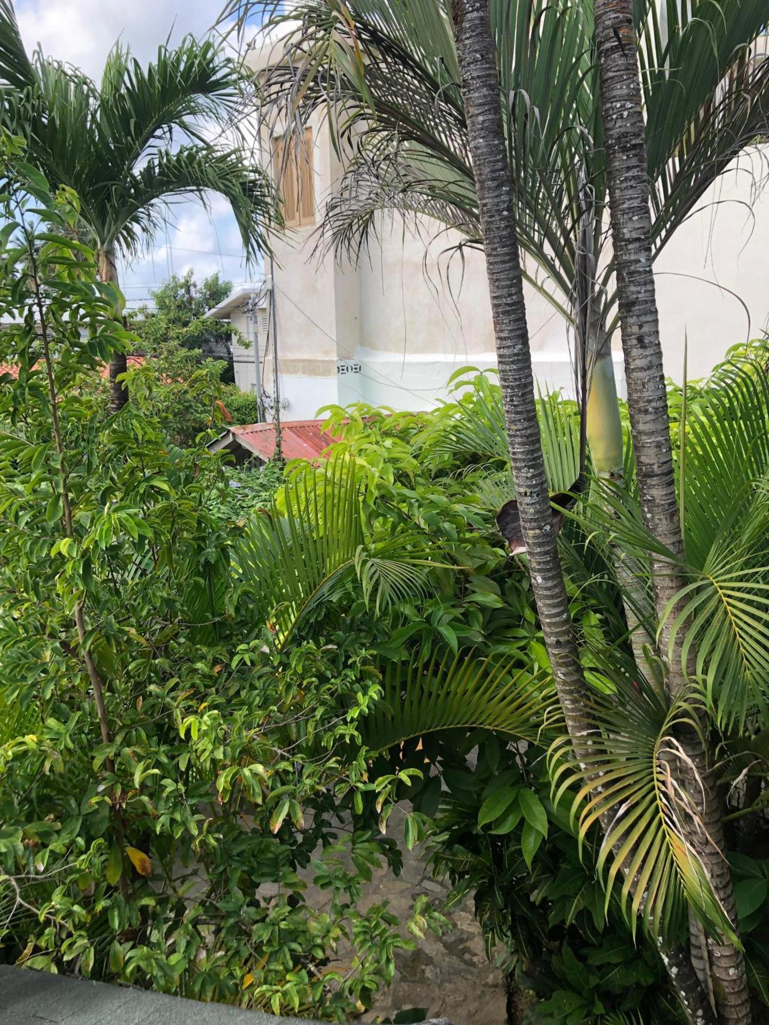Hotel Casa Robinson Las Terrenas Eksteriør bilde