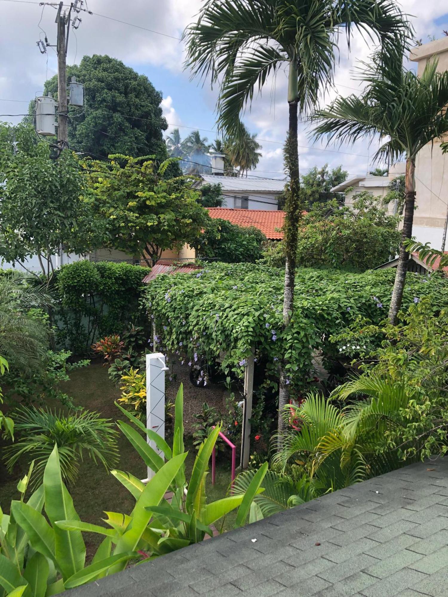 Hotel Casa Robinson Las Terrenas Eksteriør bilde