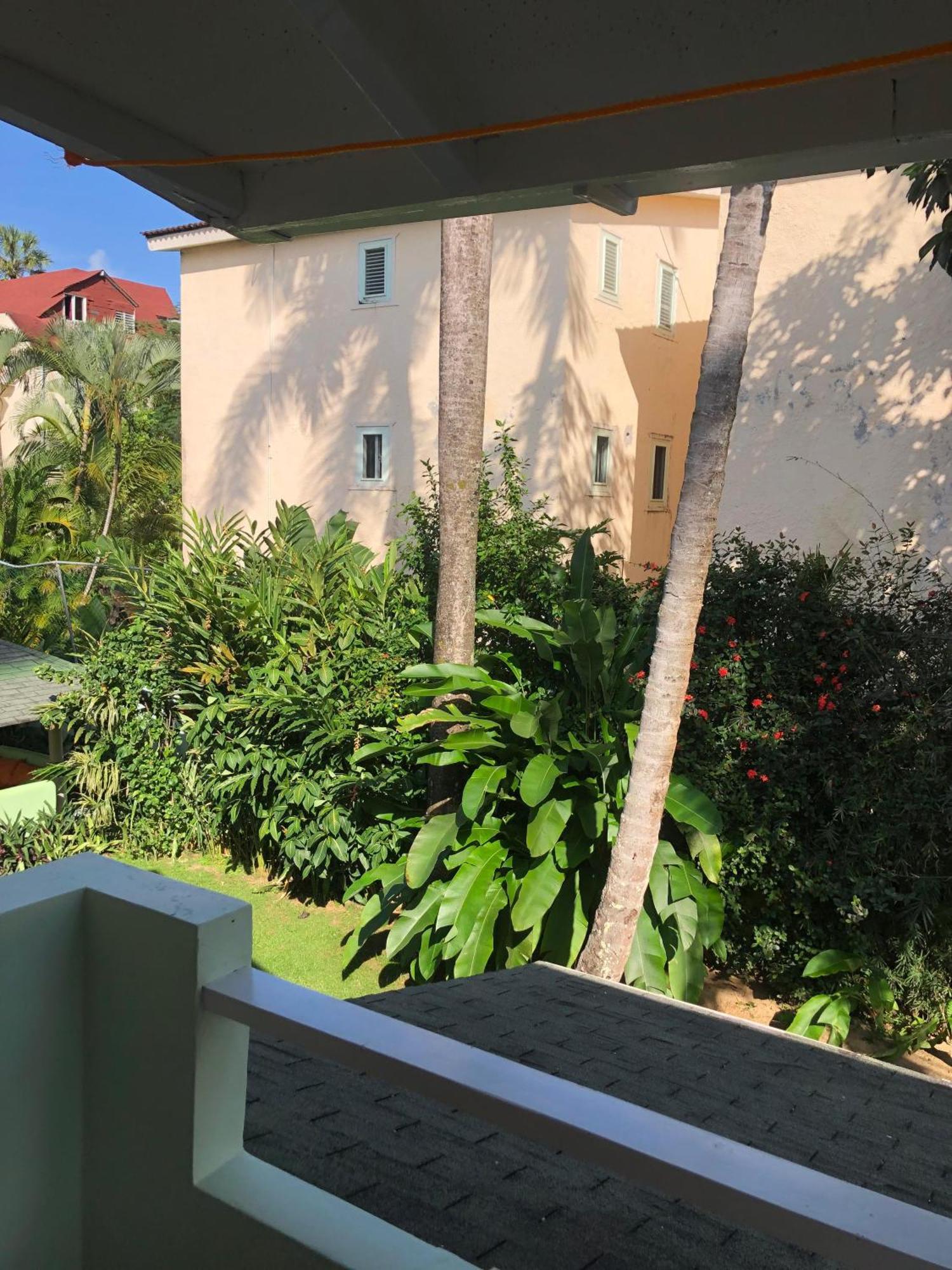 Hotel Casa Robinson Las Terrenas Eksteriør bilde