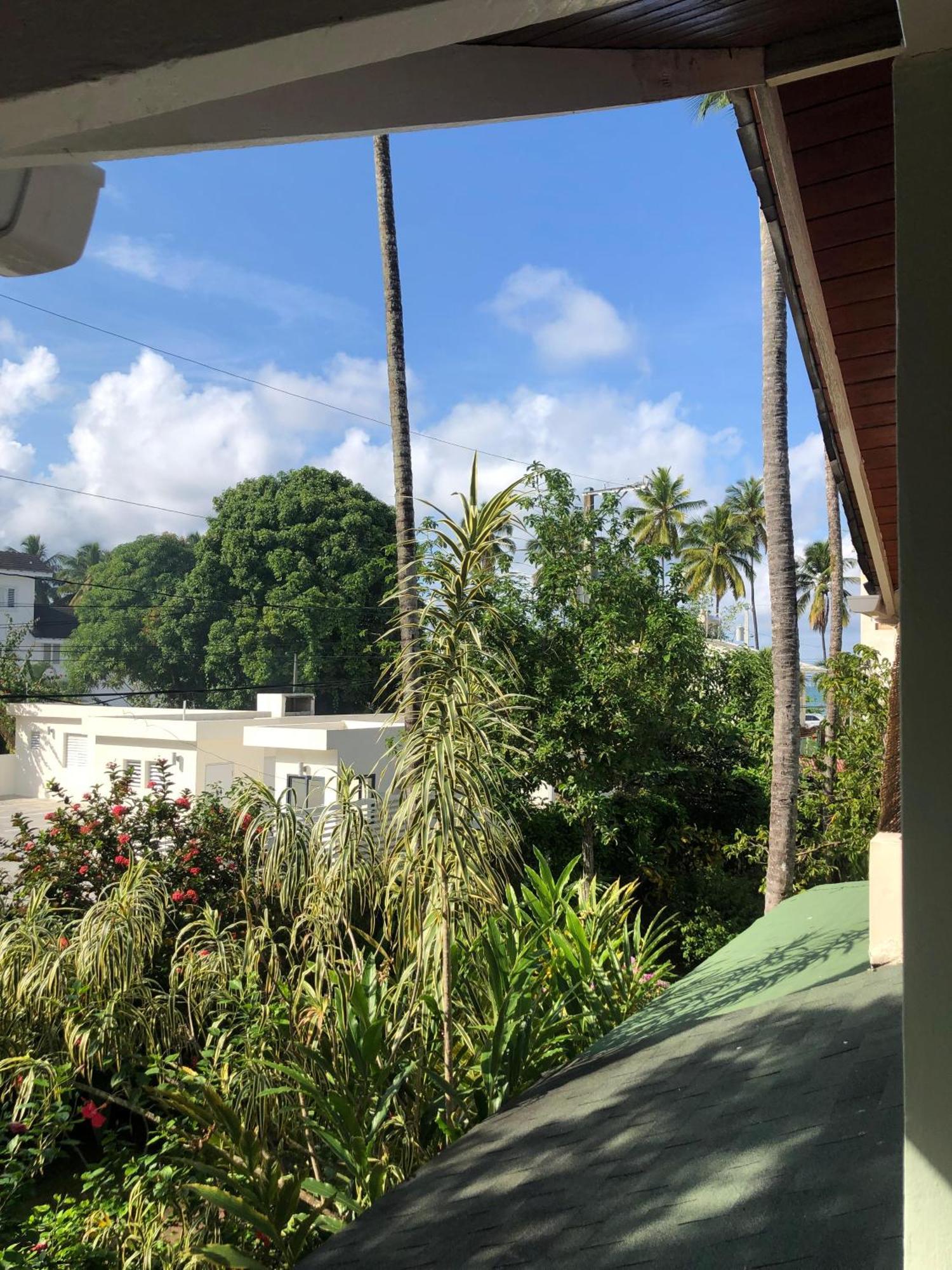 Hotel Casa Robinson Las Terrenas Eksteriør bilde